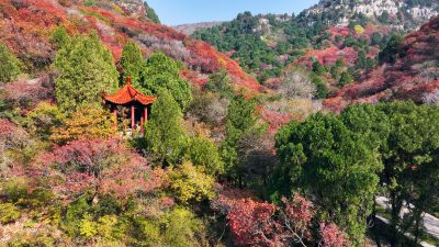 石门坊红叶（1）