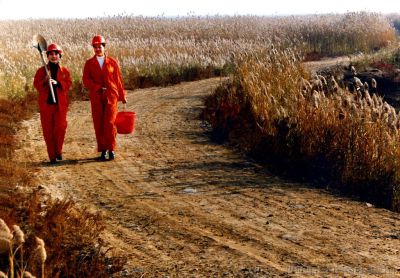 [原创]火红的青春献石油