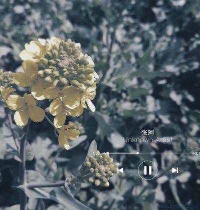 [原创]逃不了最后谁也都苍老  写下我时间和琴声交错的城堡这是一首简单的小情歌