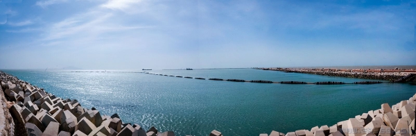 《南海新区----围海造田绽新颜》