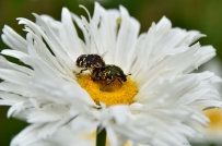 [原创]甜蜜的爱