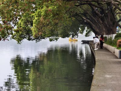 南京玄武湖踏青赏花8
