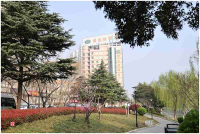 春到城河边——8