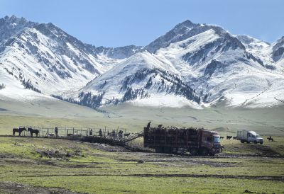 那拉提草原的牛羊交易