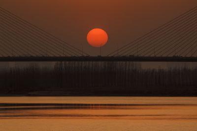 济南建邦黄河大桥40