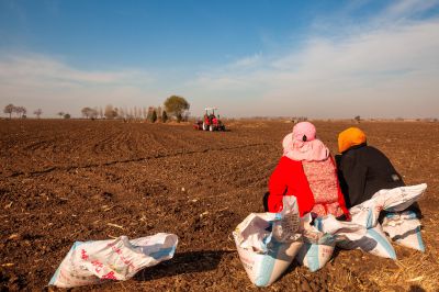 《田间好时光》