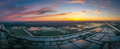 霞染微山湖湿地