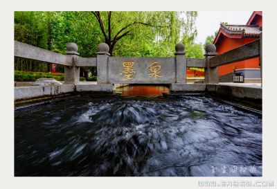 [原创]《墨泉》