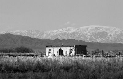 董士阳《东方摄影 · 我的2025》-《巴尔鲁克山下的放牧人》