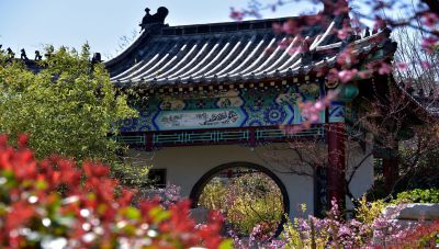 [原创]翠楼之春