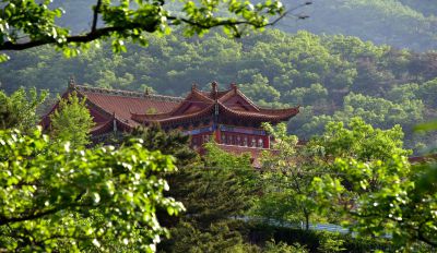 [原创]深山藏寺