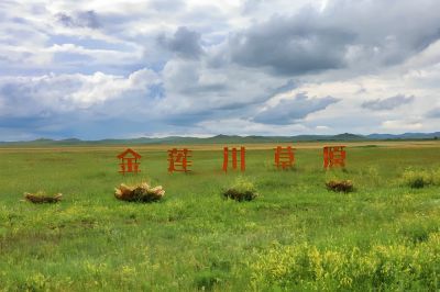 金莲川草原