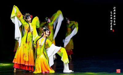 长袖婀娜抒深情