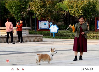 人和狗——2