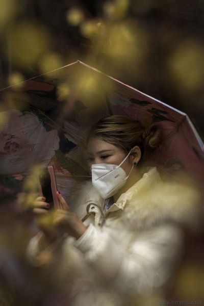 [原创]【赏 梅】