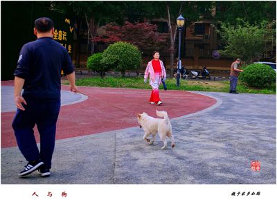 人和狗——3