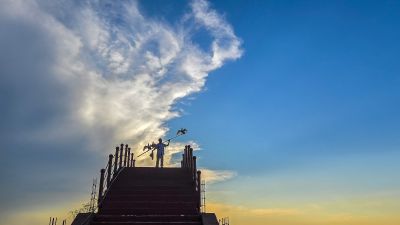 大运河畔放鹰人