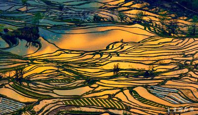 [原创]《大地调色板》