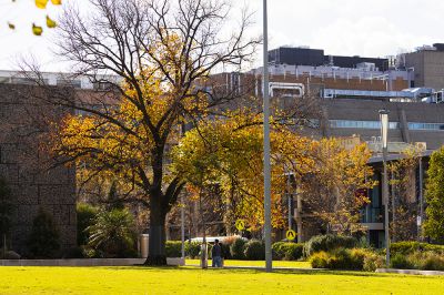 澳大利亚采风之旅 —— 墨尔本大学秋韵（三）