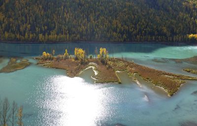 喀纳斯湖卧龙湾