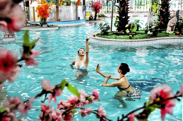 《桃花依旧笑春风》