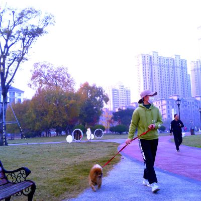 遛狗
