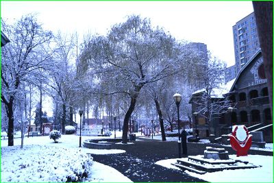 入冬滕州市第一场雪即景之三