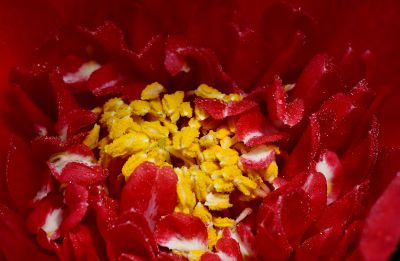 阴雨天的周末，小区里转转