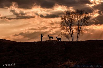 [原创]《黄昏恋歌》
