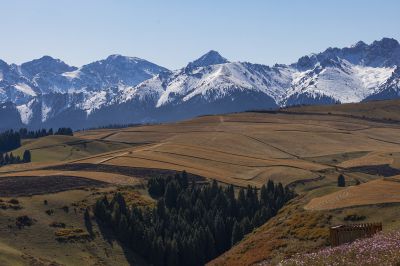 新疆北部秋色行摄之旅 —— 江布拉克草原