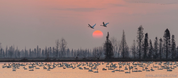 [原创]湿地旭日