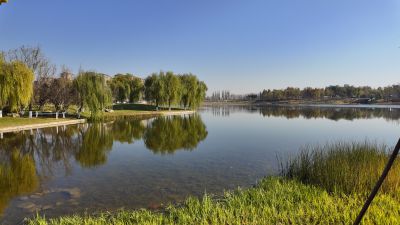 济南彩虹胡一角