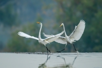 永宁坝上的故事