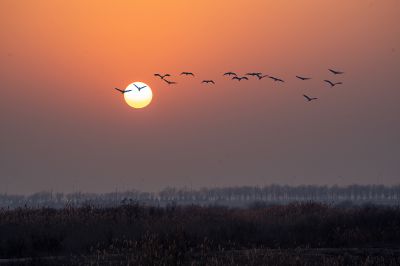 陈玉萍《东方摄影 · 我的2025》