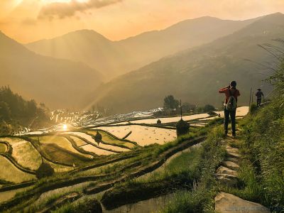 在希望的田野上