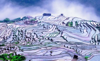 邓元良《东方摄影 · 我的2025》