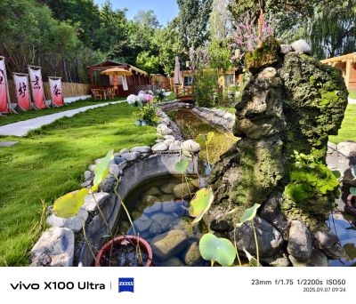 农家乐小院的风光