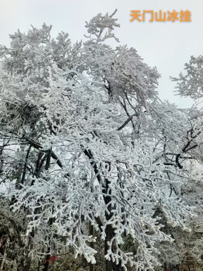 天门山冰挂