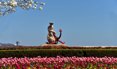 [原创]人生的港湾