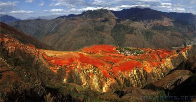 [原创]云南东川红土地