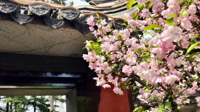 泰州梅园——梅兰芳纪念馆5