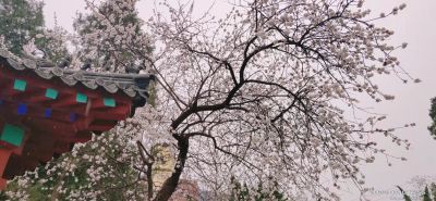 [建议]新手拍摄，虚心请教