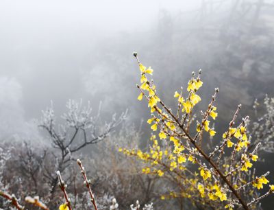 雾锁南太行（2）