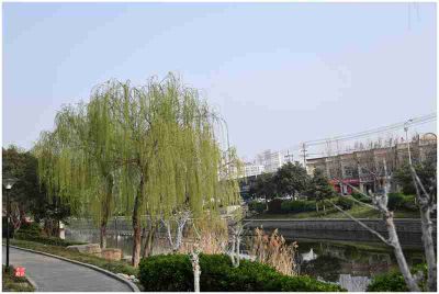 春到城河边——9