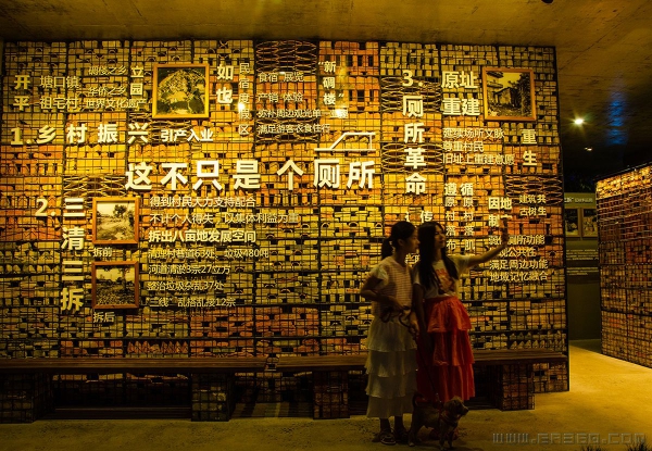 农村里的星级厕所