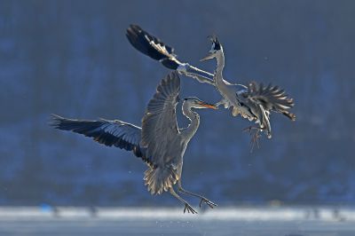 孙家勇《东方摄影 · 我的2025》