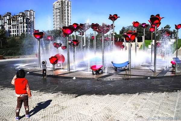 《欢乐尽在森林公园》