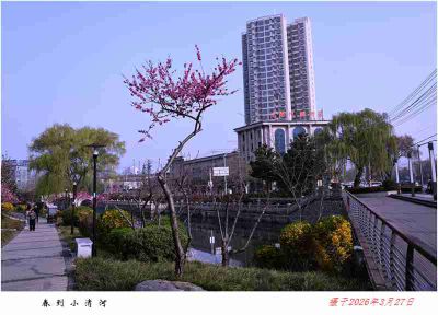 春到小清河——3
