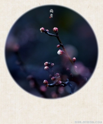 [原创]【初 梅】