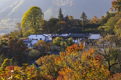 皖南秋色 —— 塔川